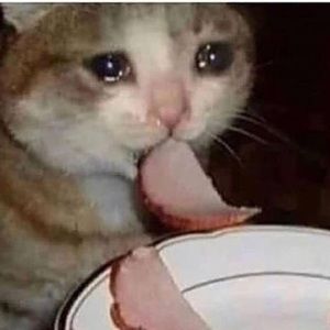 Meet your Posher, Liz